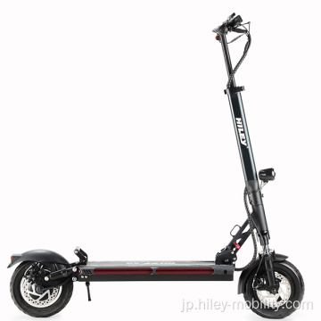 10inch 600W 800W折りたたみ可能な電気スクーター2輪の簡単な乗り心地e-scooter